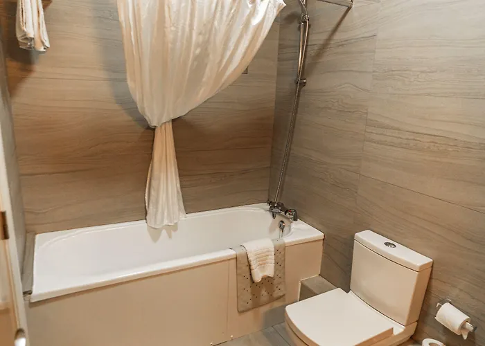 布雷维尔顿酒店- 原华美达布雷酒店 酒店 3*